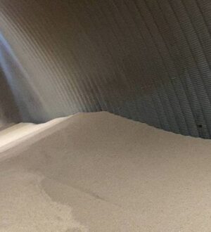 В Россельхознадзоре рассказали, куда увезли почти 4 тыс. тонн кузбасского гороха