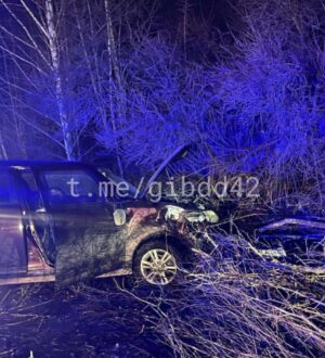 В Гурьевском округе в ДТП погиб 55-летний водитель