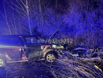 В Гурьевском округе в ДТП погиб  55-летний водитель