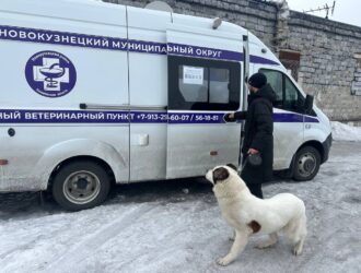 В помощь владельцам животных: мобильный ветеринарный пункт проедет по поселкам Новокузнецкого округа