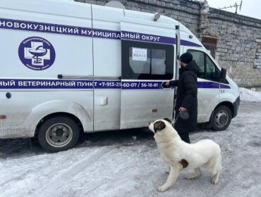 В помощь владельцам животных: мобильный ветеринарный пункт проедет по поселкам Новокузнецкого округа