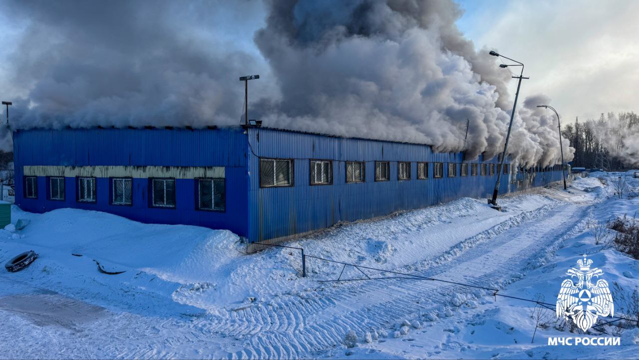 В Кемерове сгорел большой склад с транспортом