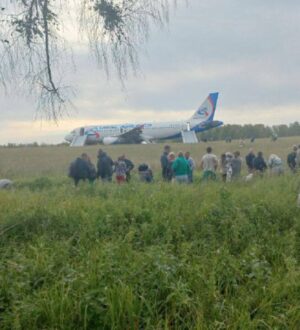 Сибиряки требуют вернуть к полетам пилота, посадившего самолет в поле