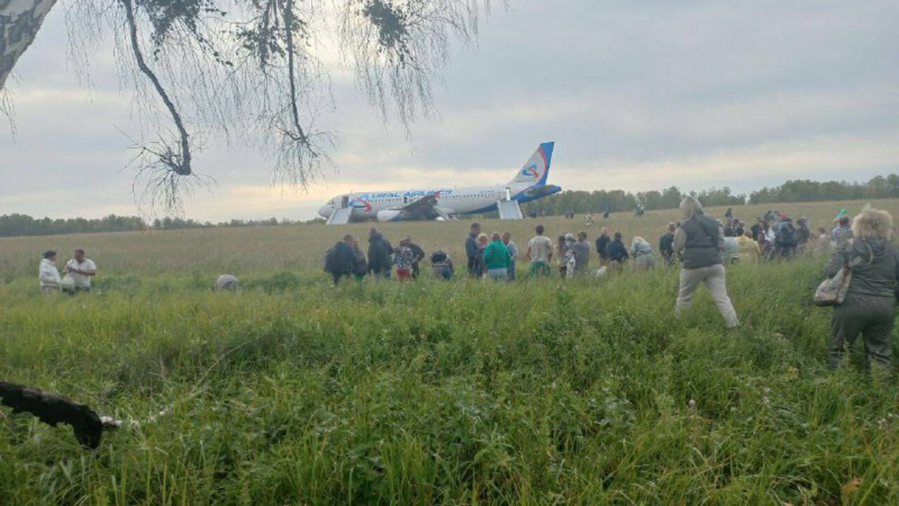 Сибиряки требуют вернуть к полетам пилота, посадившего самолет в поле