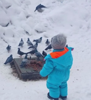 В Кузбассе малыш сбежал из детского сада во время утренней прогулки