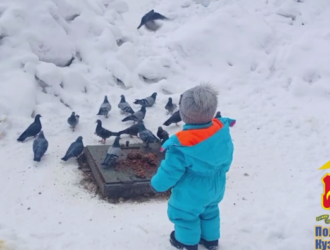 В Кузбассе малыш сбежал из детского сада во время утренней прогулки