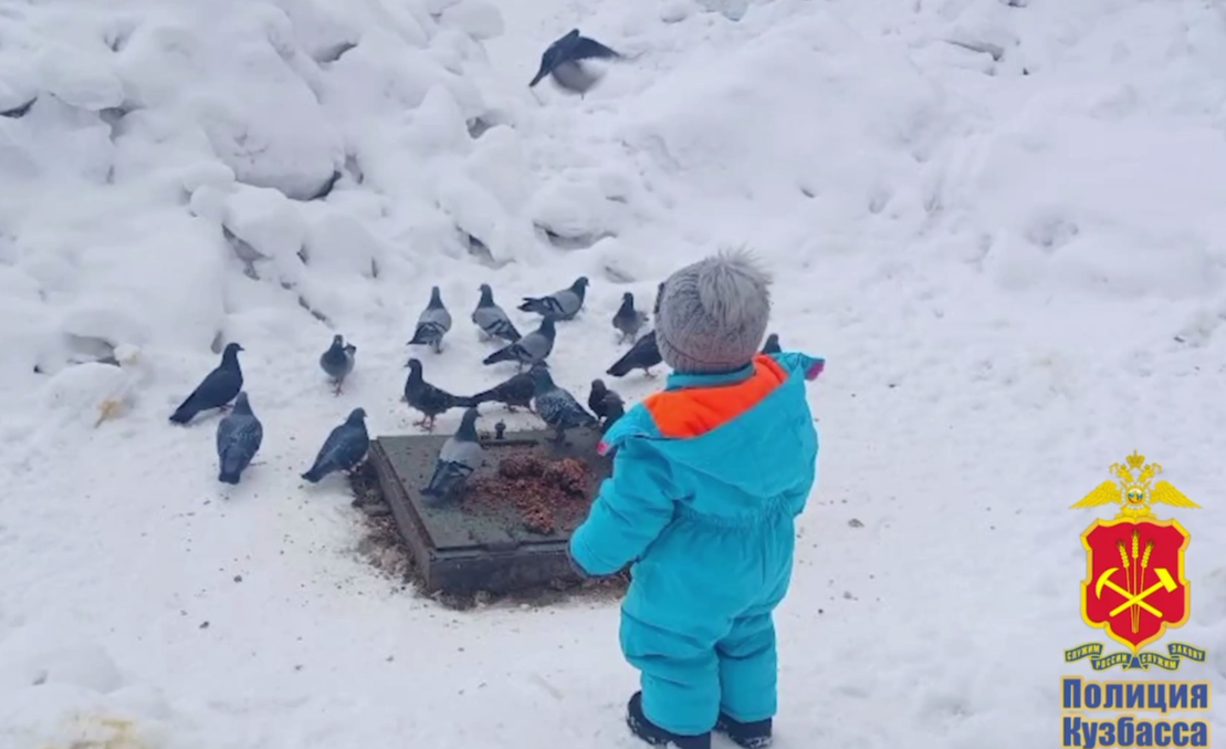 В Кузбассе малыш сбежал из детского сада во время утренней прогулки