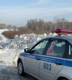 Пьяного водителя поймали автоинспекторы Топкинского округа