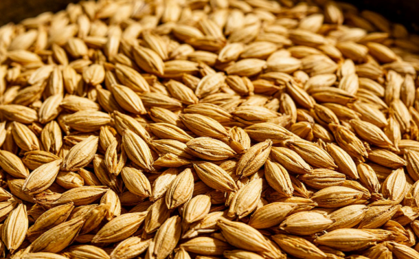 Из Беларуси в Кузбасс отправили 66 тонн солода