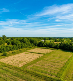 В Кузбассе менять границы между земельными участками стало проще