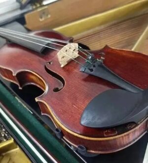 Кузбасские музыканты получили старинные французские скрипки