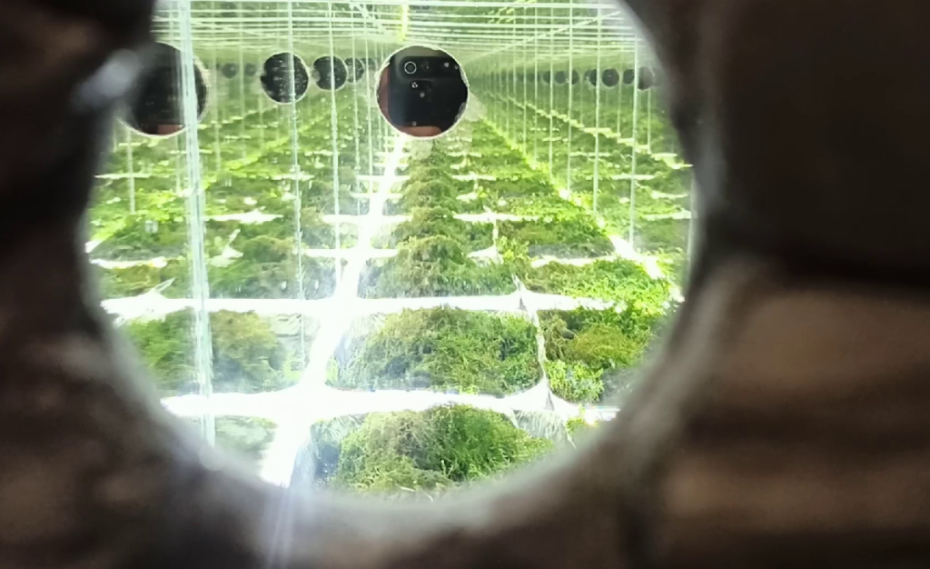 Новокузнецк глазами художников из других городов:  выставка «Город металла - город искусства» стала итогом работы арт-резиденции