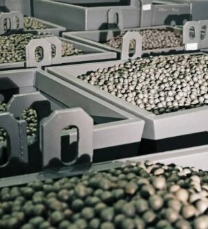 В Гурьевске расширили металлургическое производство