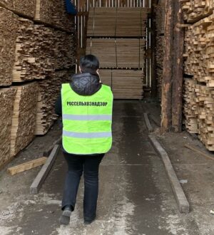 Из Кузбасса вывезли около 10 тысяч кубометров леса с начала этого года