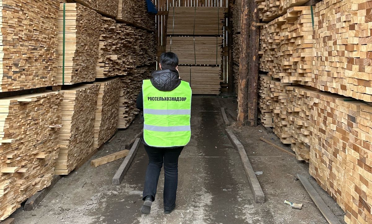 Из Кузбасса вывезли около 10 тысяч кубометров леса с начала этого года