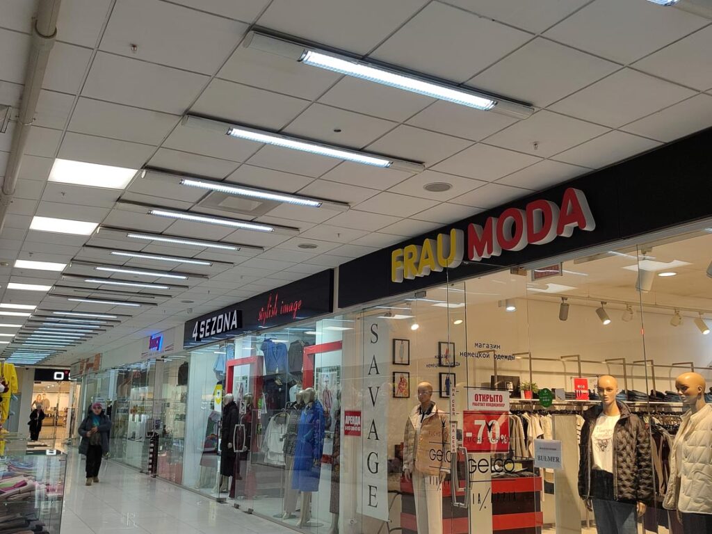 «Великий и могучий»: спешат ли кемеровские предприниматели менять вывески после выхода новых поправок?  