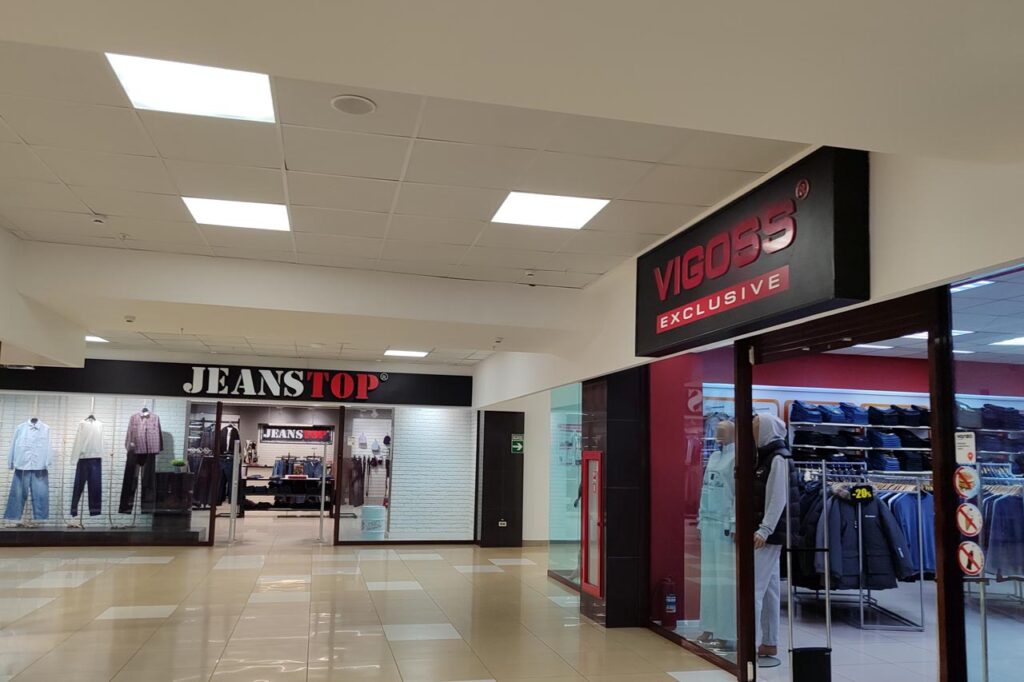 «Великий и могучий»: спешат ли кемеровские предприниматели менять вывески после выхода новых поправок?  