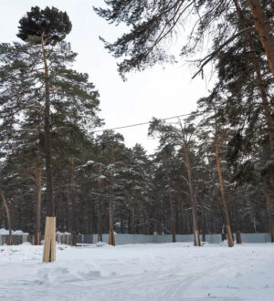 Мэрия объяснила забор и раскопки в Рудничном сосновом бору Кемерова