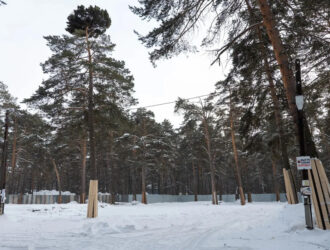 Мэрия объяснила забор и раскопки в Рудничном сосновом бору Кемерова