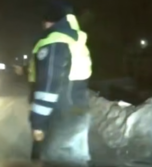 В Беловском округе пьяный водитель попытался скрыться от автоинспекторов в кустах