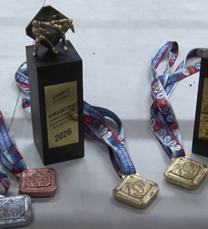 Новокузнецкие спортсмены завоевали награды на первенстве Сибири по кикбоксингу