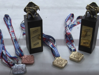 Новокузнецкие спортсмены завоевали награды на первенстве Сибири по кикбоксингу