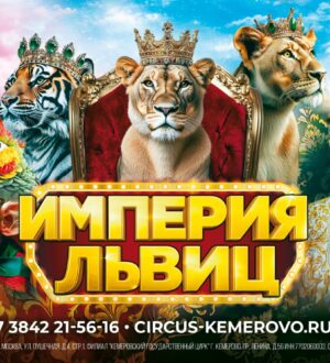 Хищники в Кузбассе: в Кемеровском цирке пройдут гастроли «Империи львиц»