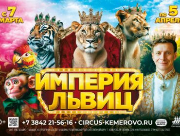 Хищники в Кузбассе: в Кемеровском цирке пройдут гастроли «Империи львиц»