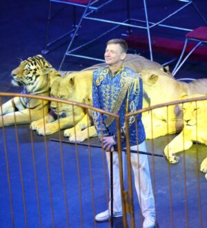 Третий путь Виталия Смолянца: как уникальный дрессировщик подружился  со львами