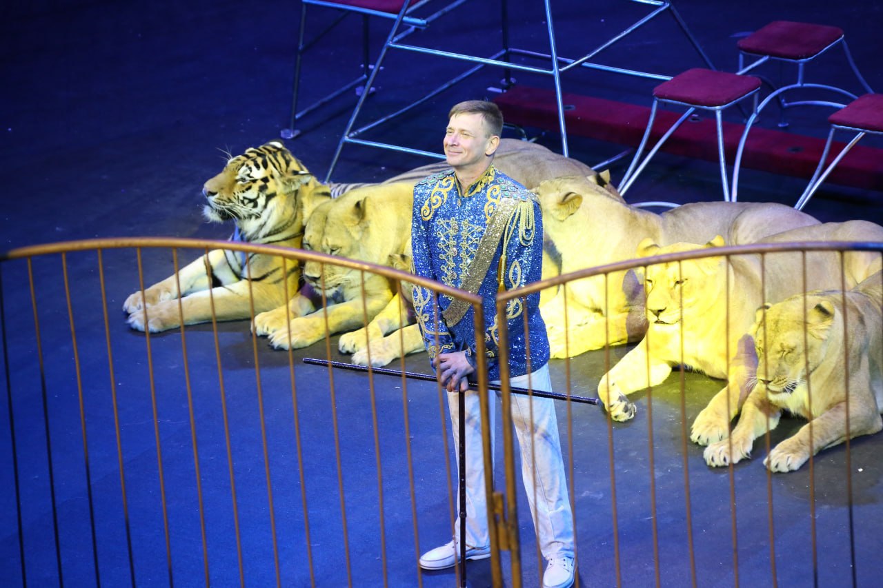 Третий путь Виталия Смолянца: как уникальный дрессировщик подружился  со львами