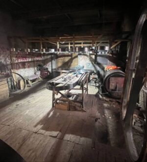 В Кузбассе двух иностранцев обвиняют в организации незаконной миграции