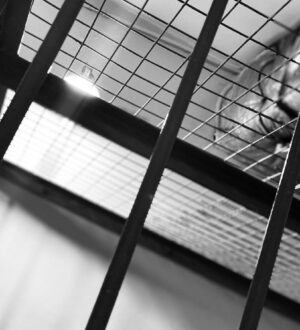 Исполнительного директора кузбасской компании подозревают в мошенничестве