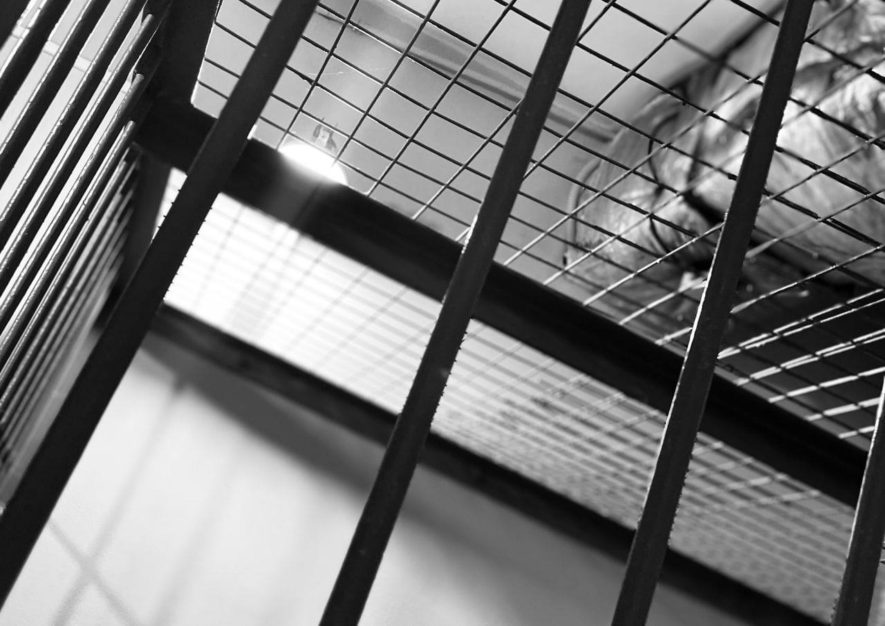 Исполнительного директора кузбасской компании подозревают в мошенничестве