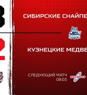 «Кузнецкие Медведи» уступили новосибирской команде в овертайме