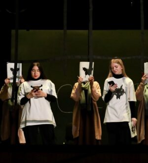 Новокузнецкий семейный театр «Лапша» взял награды на фестивале «Притяжение» в Красноярске