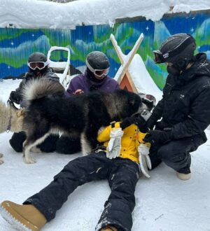 Пухляк и альпаки: чем еще удивил Шерегеш китайских тревел-блогеров