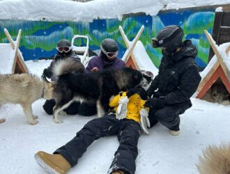 Пухляк и альпаки: чем еще удивил Шерегеш китайских тревел-блогеров