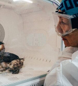 Сибирский волонтер рассказала о мазутной катастрофе на Черном море