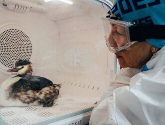 Сибирский волонтер рассказала о мазутной катастрофе на Черном море