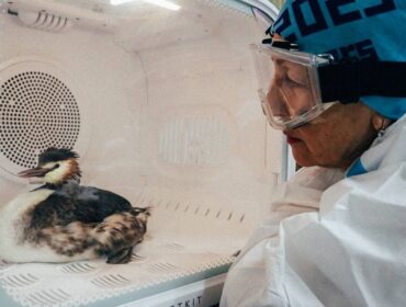 Сибирский волонтер рассказала о мазутной катастрофе на Черном море