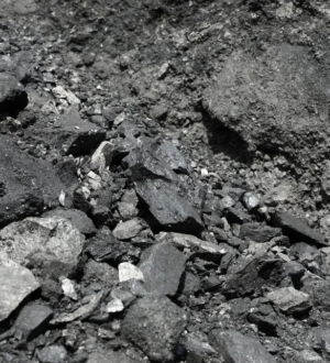 Угольным компаниям Кузбасса продлен срок уплаты налога на добычу полезных ископаемых и страховых взносов