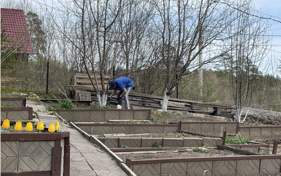 Большинство россиян хотели бы иметь собственную дачу