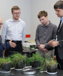 Отходы промышленных предприятий Новокузнецка превращают в плодородную почву