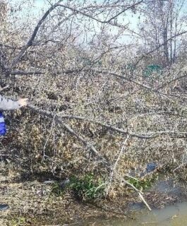 В Кемерове Томь поднялась выше критической отметки на 11 см