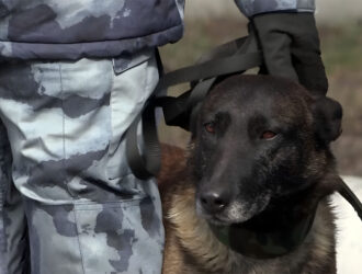 В Кузбассе росгвардейцы трогательно проводили на пенсию служебную собаку