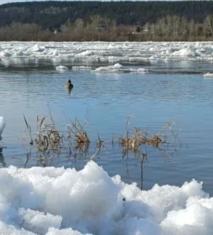 В Кемерове начался ледоход