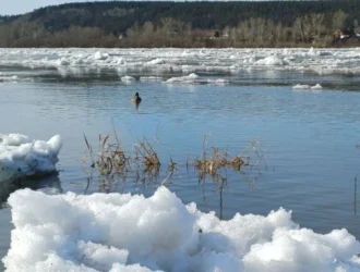 В Кемерове начался ледоход
