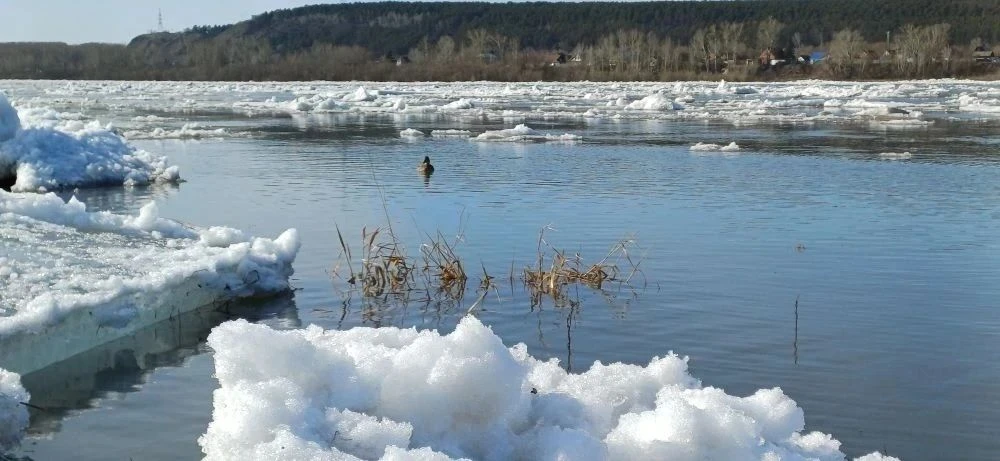 В Кемерове начался ледоход