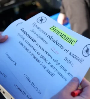 В Кемерове стартовала противоклещевая обработка