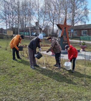 В Кузбассе в этом году высадят почти два миллиона деревьев
